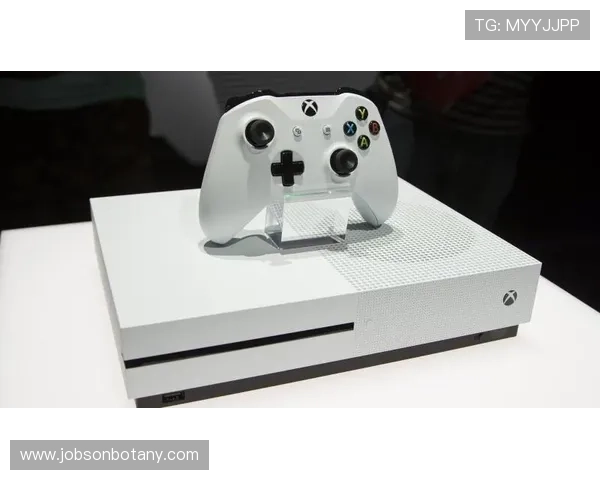 PG电子官方旗舰店在哪里可以找到详细的地址和最新的入驻信息，帮助玩家轻松访问官方商城