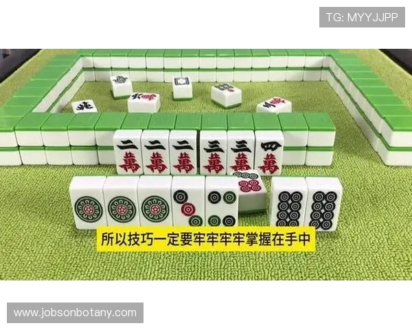 掌握PG麻将胡了2的五大技巧提升你的胜率和游戏体验