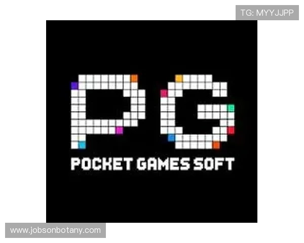 PG电子平台下载操作指南，详细步骤帮助玩家快速完成游戏下载与账号绑定