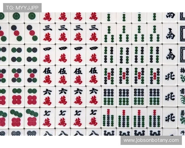 PG麻将胡了老版本更新内容及常见问题解答,帮助用户快速解决使用中的困扰