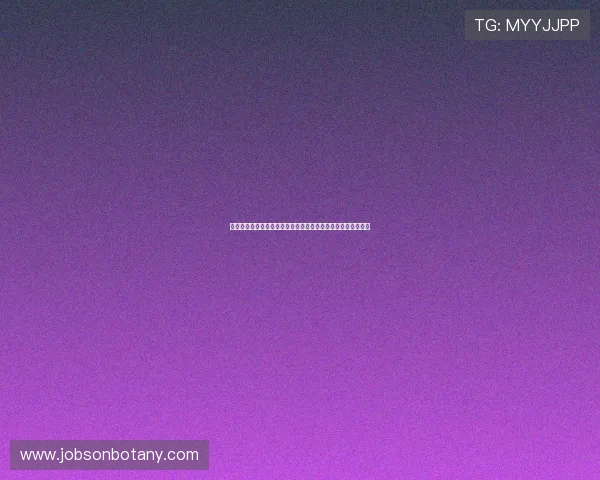 新西兰与埃及在世界杯中的表现分析及专家赛前点评与战术解析