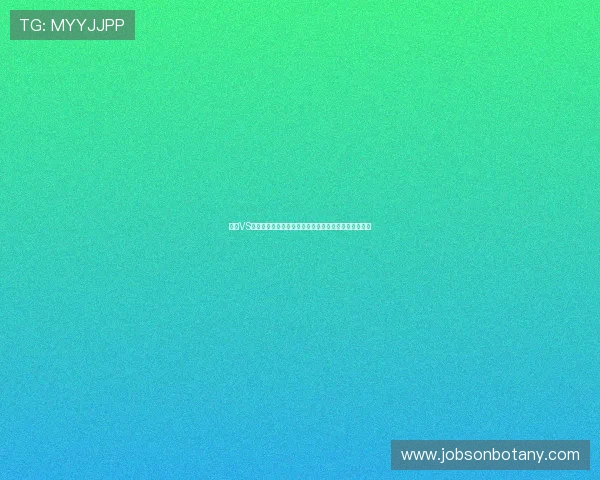 海地VS苏格兰小组实力对比:谁更具晋级潜力成为世界杯焦点