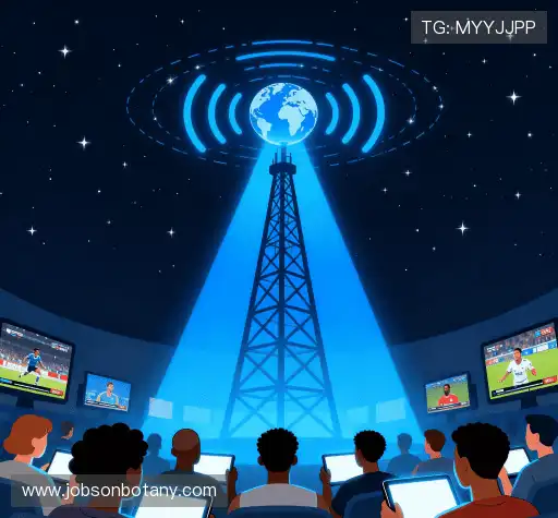 行业领先的理由